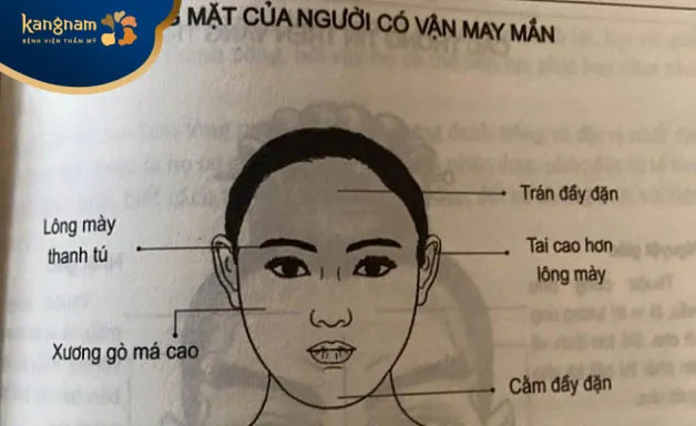 Nhân tướng học của phụ nữ may mắn thường sở hữu gương mặt bầu bĩnh, cằm tròn, vầng trán cao