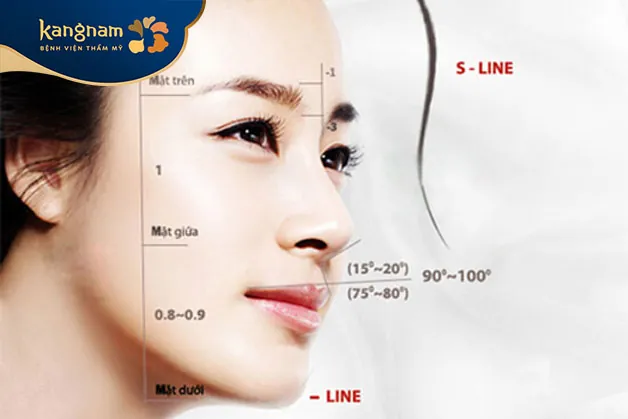 Tiêu chuẩn một chiếc mũi S Line đẹp